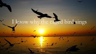 I Know Why the Caged Bird Sings by Maya Angelou