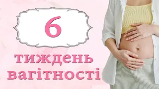 6 Тиждень Вагітності | Розвиток плоду та відчуття мами