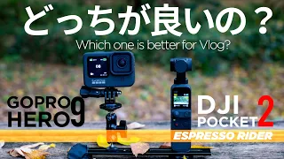 【GOPRO9 VS DJI POCKET2】どちらのカメラが良いのか比較してみた。【 BMW S1000R motovlog / モトブログ 】