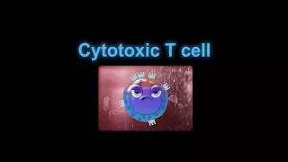 Supercytes cartoon - Cytotoxic T cell