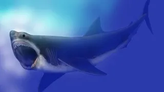 DOCUMENTAIRE HD 2024 | Mégalodon, le requin géant