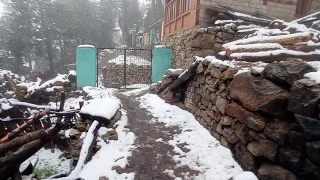 Snow Fall 2021 April 21 ||KINNAUR|| Jangi