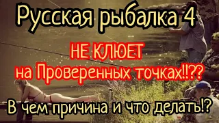 РР4. р. Яма. Что делать если НЕ КЛЮЕТ на проверенных точках!? Причины? Гайд для новичков и не только