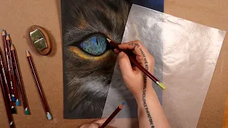 Drawing a cat with Derwent Pastel Pencils
