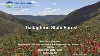 SPF: "Get to Know Your Forest" Series: Tiadaghton State Forest