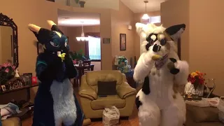 Furries Just Dance!