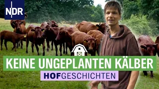 Daniel Wehmeyer geht behutsam mit seinen Kälbern um | Die Nordreportage: Hofgeschichten (186)