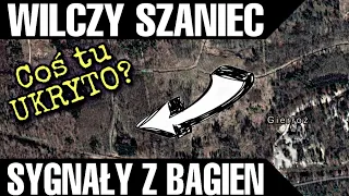 106. WILCZY SZANIEC-BAGNA I MOCNE SYGNAŁY