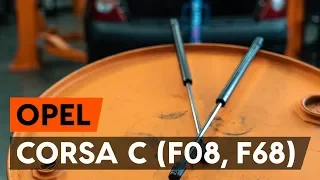 How to change gas struts / tailgate struts on OPEL CORSA C (F08, F68) [TUTORIAL AUTODOC]