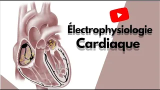 1-Eléctrophysiologie cardiaque