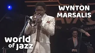 Wynton Marsalis Quintet on the North Sea Jazz Festival • 16-07-1982 • World of Jazz