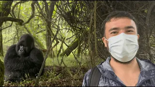 Inolvidable, buscando gorilas en Mgahinga, Uganda