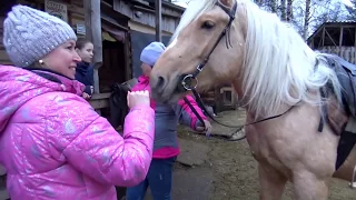 Конно   сказочный хутор Юленька  Первая поездка