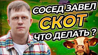 ЧТО ДЕЛАТЬ ЕСЛИ СОСЕД ЗАВЕЛ СКОТ НА УЧАСТКЕ ДЛЯ ЖИЛОГО СТРОИТЕЛЬСТВА?