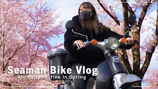 リアルな日常｜ひとりで過ごすなんでもない春の1日｜HONDA Little Cub｜30代 女の休日バイク Vlog