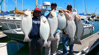 Fast California Halibut Limits for my Friends and I in SF Bay