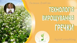 Стратегічні культури у воєнний час. Технологія вирощування гречки