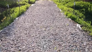 АСМР звук шагов по гравию|ASMR the sound of footsteps on gravel