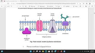 Journey inside the cell