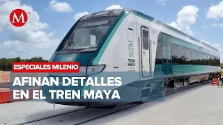 Avances en la construcción del Tren Maya | Especiales Milenio