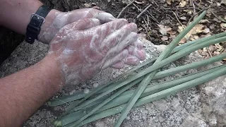 How To Make Yucca Soap