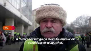 Polish farmers protest by blocking roads and Ukraine border | REUTERS