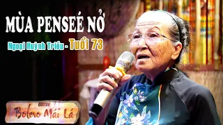 Mùa Penseé Nở - Ngoại Huỳnh Triều | Guitar Bolero Mái Lá