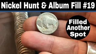 Nickel Hunt and Album Fill #19 - Buffalo + MORE Silver For the Album