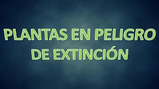 TOP 10 - PLANTAS EN PELIGRO DE EXTINCIÓN