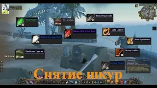 Снятие шкур в World of Warcraft Classic. от А до Я. Свежевание. Skinning WoW Classic. Гайд.