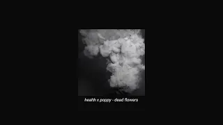 health x poppy - dead flowers (slowed + reverb)