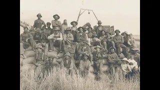 Harvesting Wheat with a 33-Mule Team