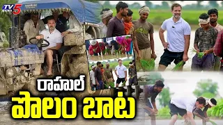 | Rahul Gandhi Interacts With Farmers | Congress leaders | TV5 News  special