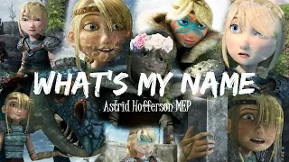 What's My Name | Astrid Hofferson MEP