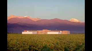 BODEGA RUTINI- VALLE DE UCO- MENDOZA