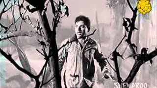 Alisvo Yeniya - Kannada Superhti Songs - Rajkumar