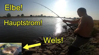 Elbe Hauptstrom Wels! Erfolgreich mit Grundel! Mit Upose und Steinmontage! Big Catfish!