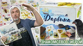 Знакомство с настольной игрой "ПО СТОПАМ ДАРВИНА"