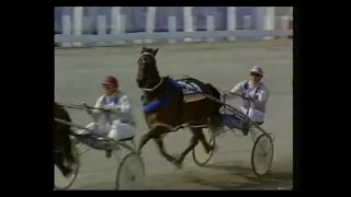 1992 New Zealand Trotting Cup - Blossom Lady