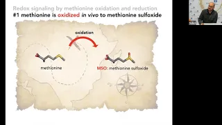 Ciclo de Seminarios: "Metagenómica funcional para el nuevo descubrimiento de enzimas redox"