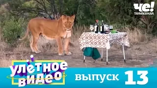 Улетное видео | Выпуск 13