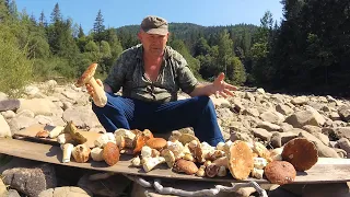 Porcini mushrooms grow not only in the forest, but also near the house.