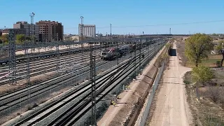 Colorida tarde de trenes en Albacete (Renfe 253, Comsa 335 y otra 335 de Logitren).