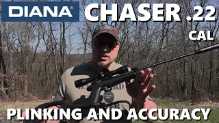 Diana Chaser .22 Cal - Plinking And Accuracy