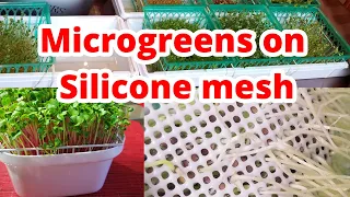 Cleanest way to grow Microgreens -  on reusable SILICONE MESH!!...(no soil)