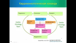 Противоопухолевая терапия и кардиотоксичность: случайное сочетание или характерная закономерность