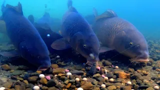 I want you to see the moment when a fish bites the bait!