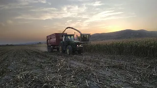 Идём на поле смотреть уборку кукурузы :)