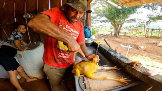 Frango Caipira no fogão a lenha. Limpando é cozinhando no Sitio.