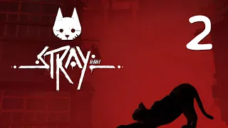 Stray - Квартира - Прохождение игры на русском [#2] | PC